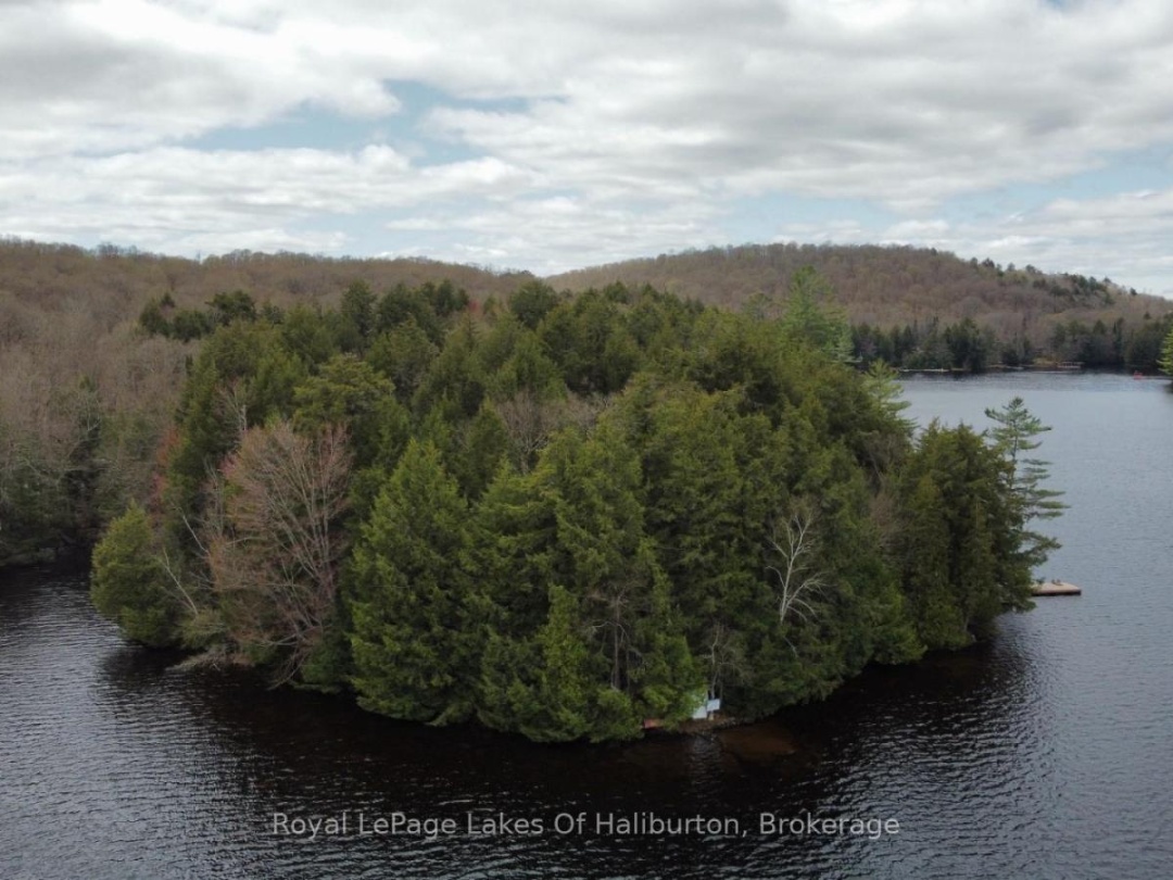 1017 Palace Drive, Little Kennisis Lake