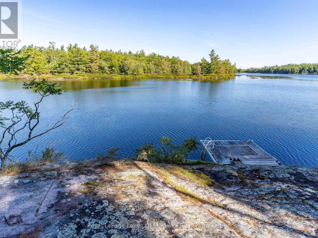 1010 TARA LANE, Morrison Lake