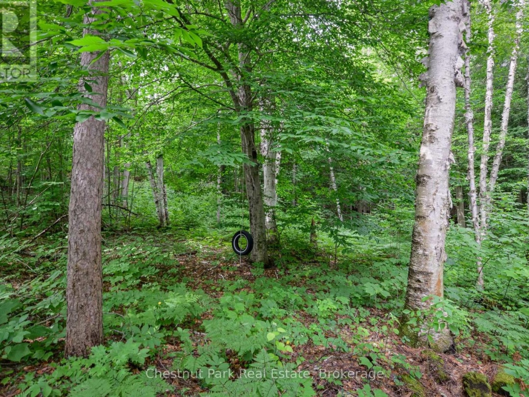 26 Island 26Lm, Lake Muskoka