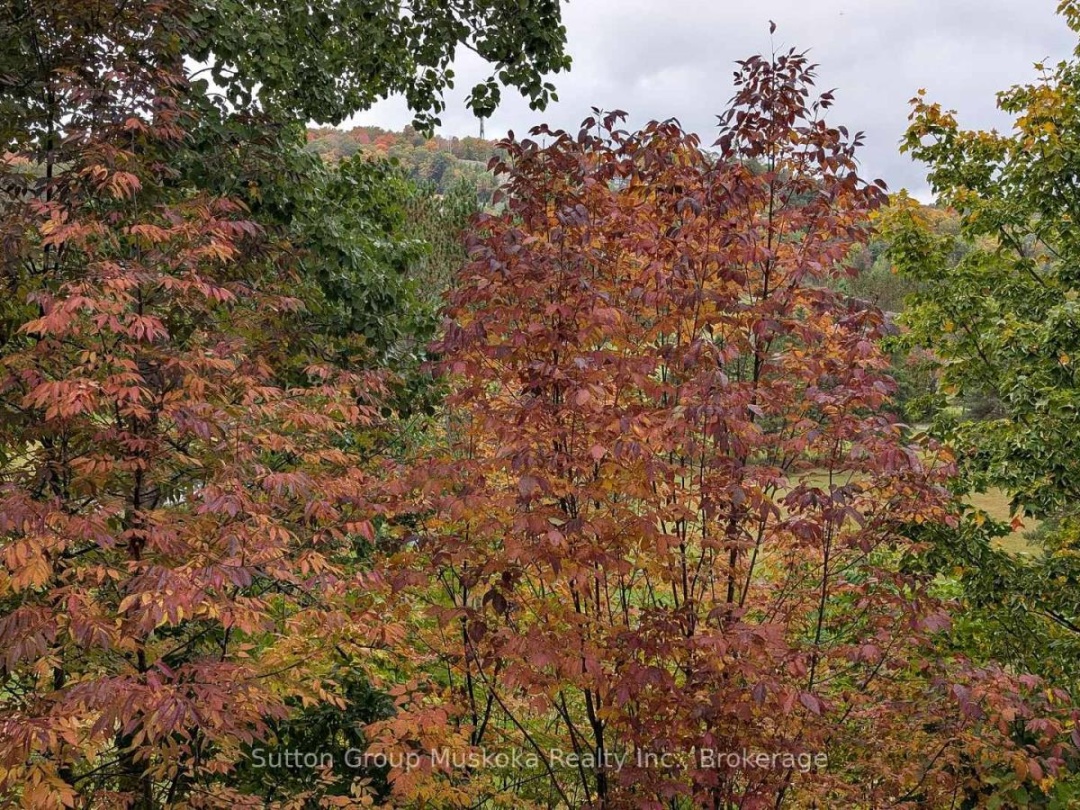 27-202 GOLFVIEW - DEERHURST RESORT DRIVE, 