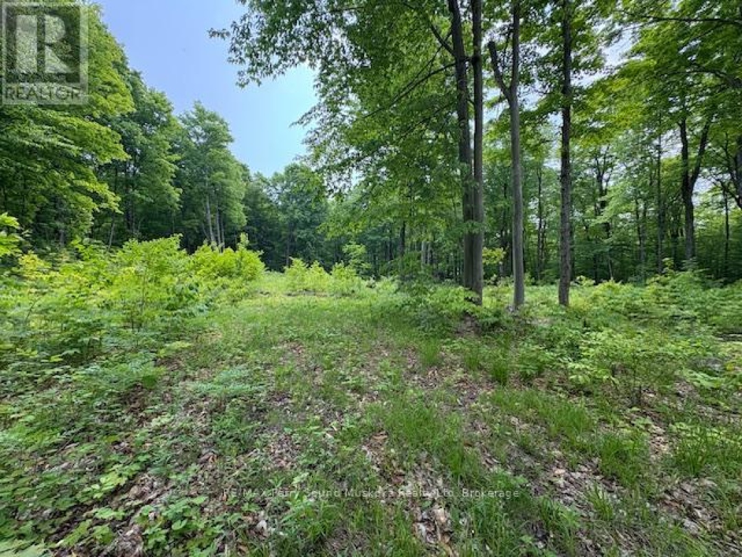 0 Loucks Road, Seguin