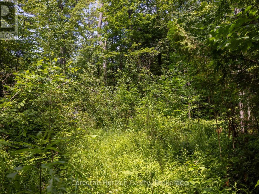 471 NORTH SHORE RD, 
