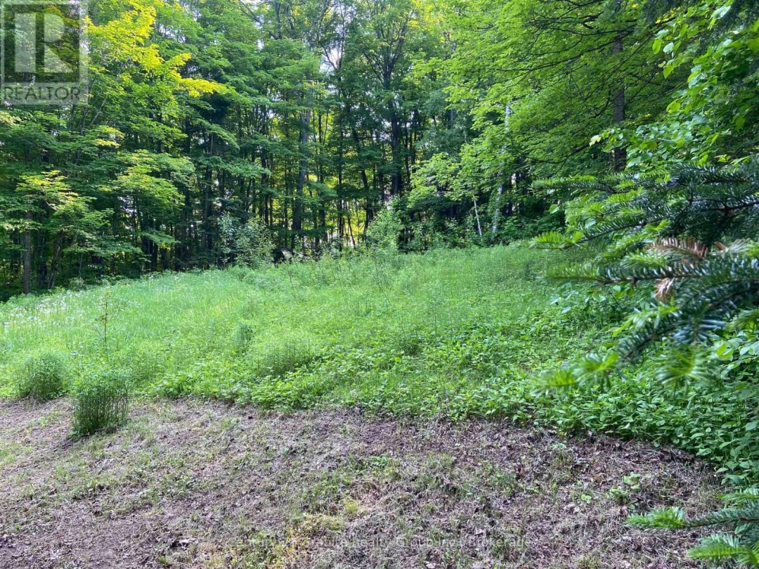 1549 TRAPPERS TRAIL ROAD, 