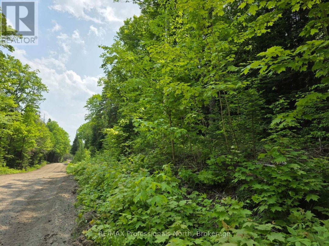 0 25Th Line Road, Algonquin Highlands (Stanhope)