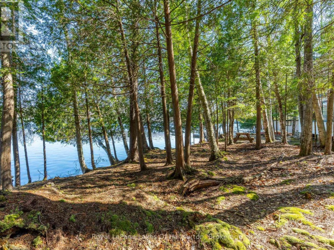 1096 Reg's Trail, Drag Lake