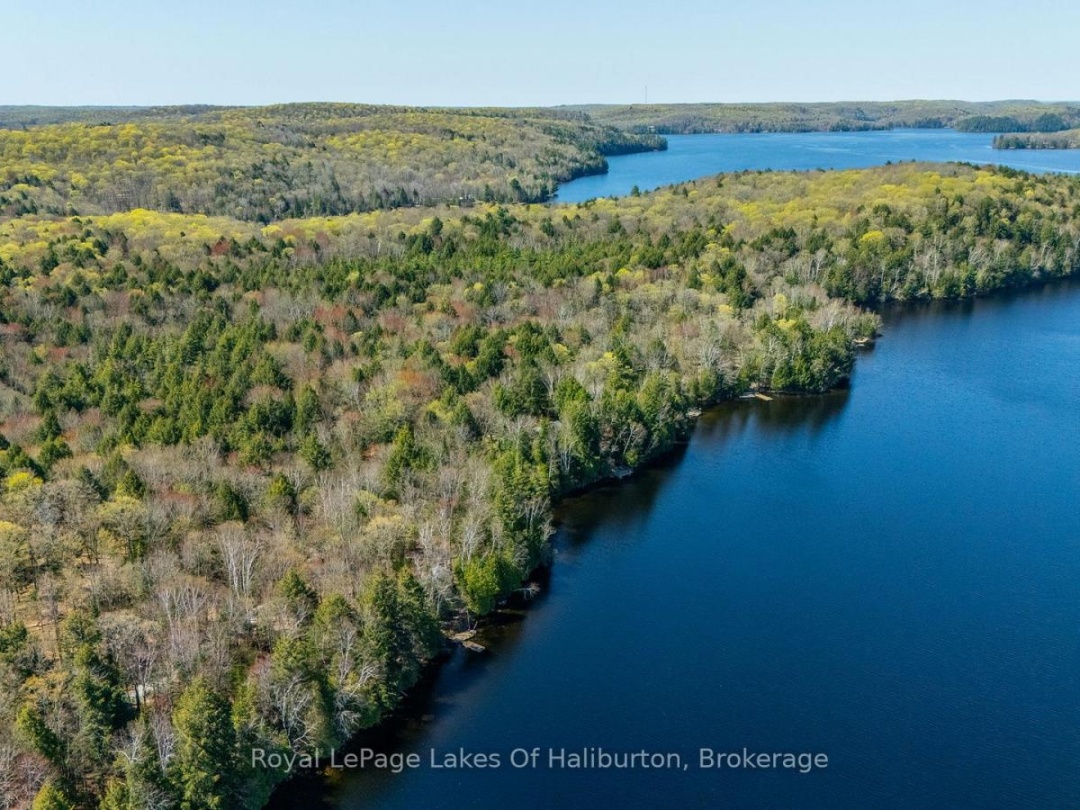 1096 Reg's Trail, Drag Lake