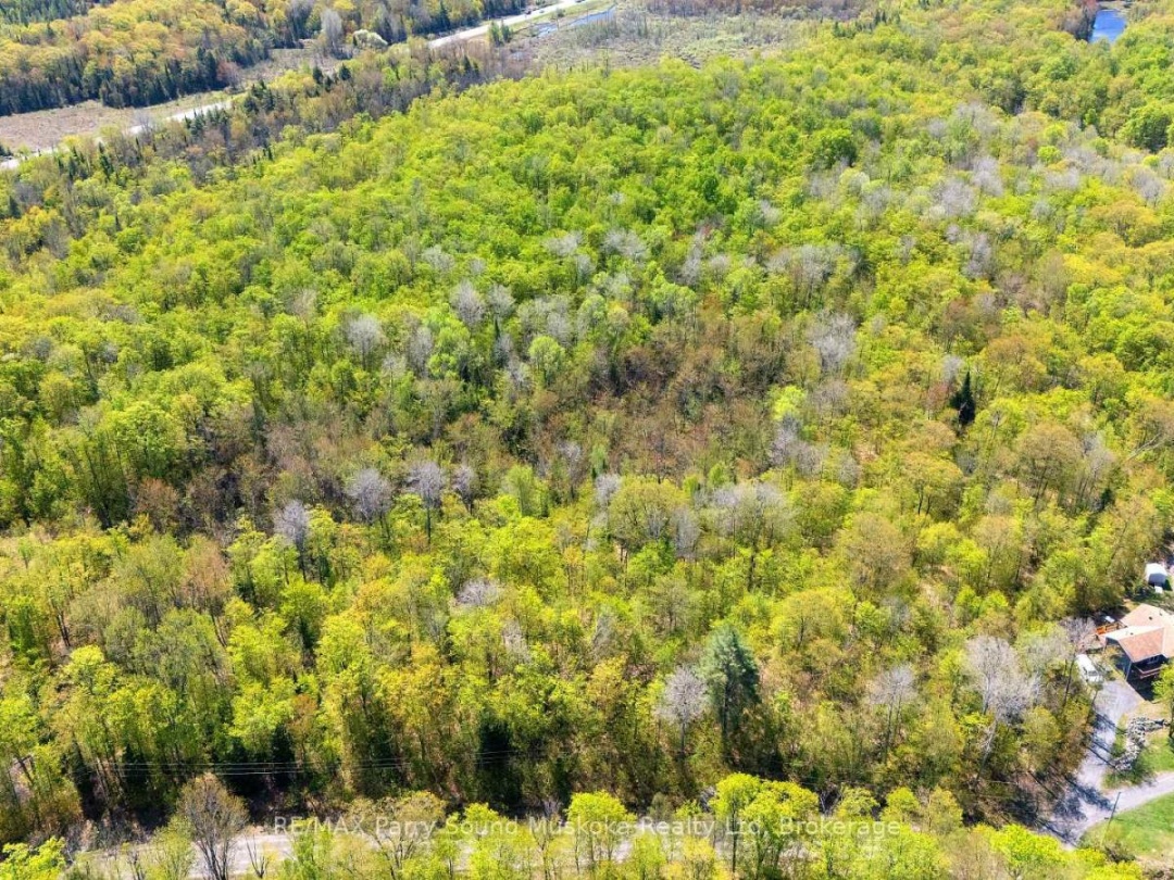 1835 LORIMER LAKE ROAD N, 
