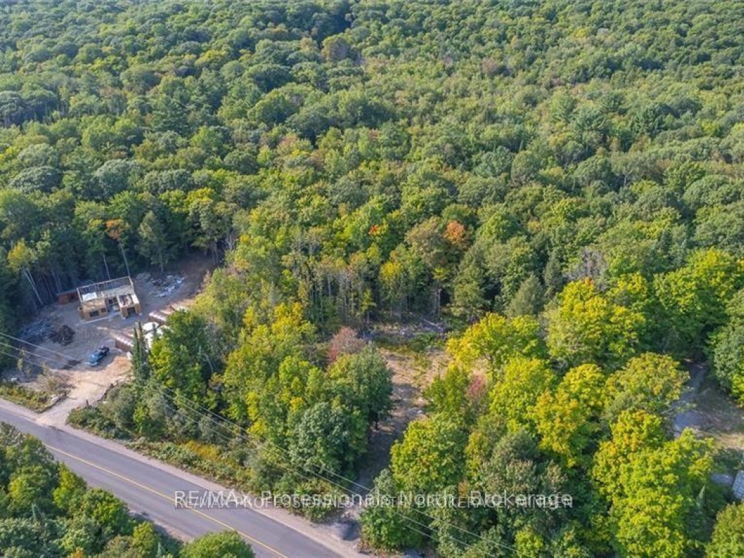 1205 Little Hawk Lake Road, Algonquin Highlands