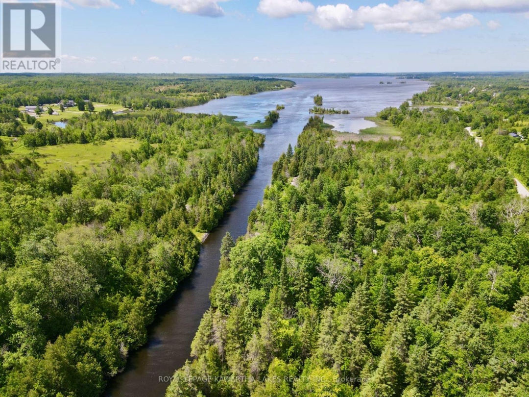 81 Mcguire Beach Road, Trent-severn Waterway