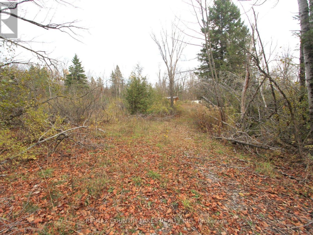 LT3 RAMBLEWOOD TRAIL,