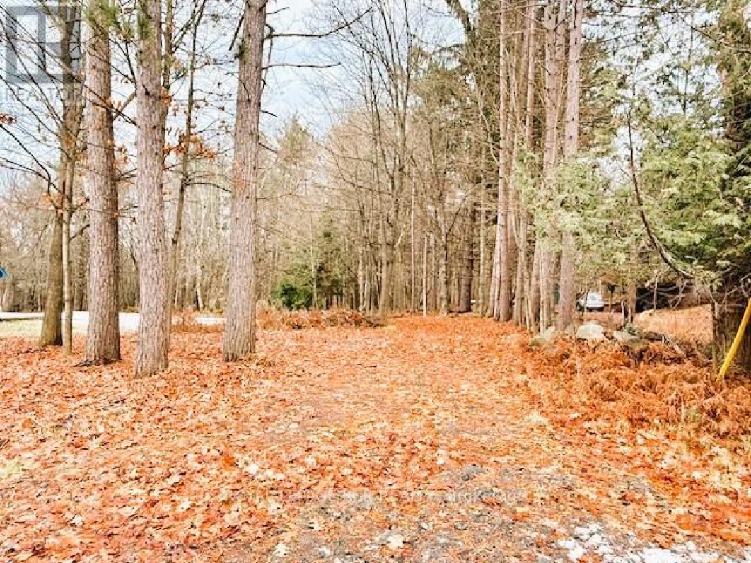 93 TOWN LINE ROAD W,