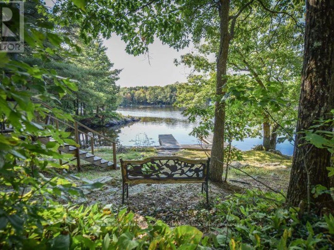 2910 Maclean Lk N S Road, Black Lake