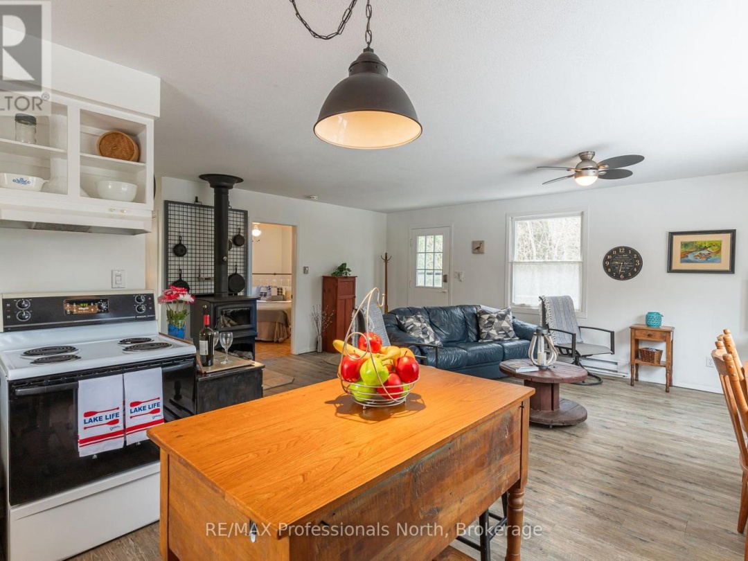 1010 Sturgeon Drive, Minden Lake
