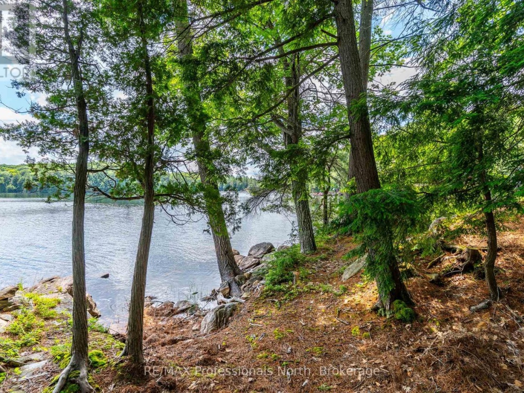 53437 BIG HAWK LAKE, 