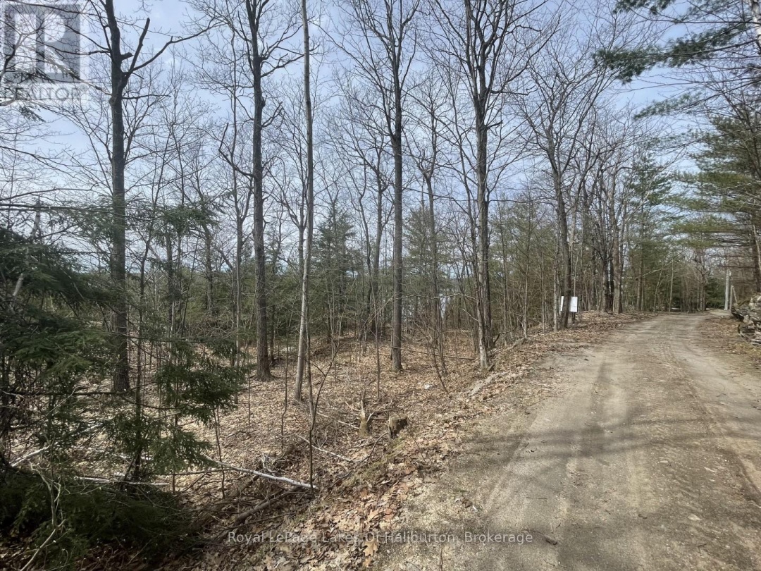 0 Starlight Road, Gull Lake