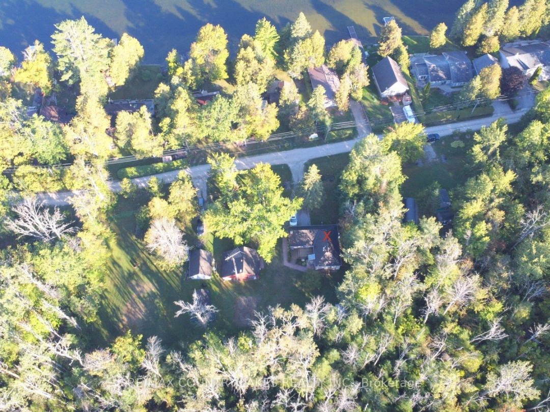 62 PARADISE ROAD, 