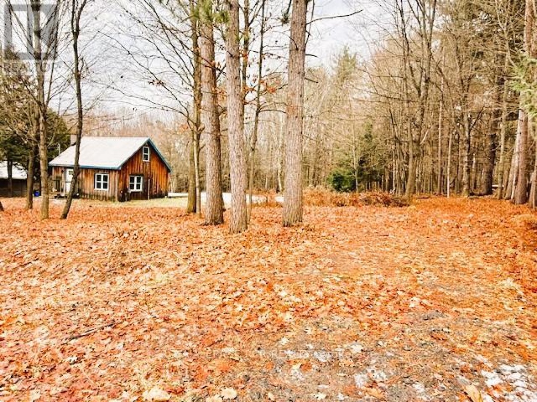 93 TOWN LINE ROAD W,