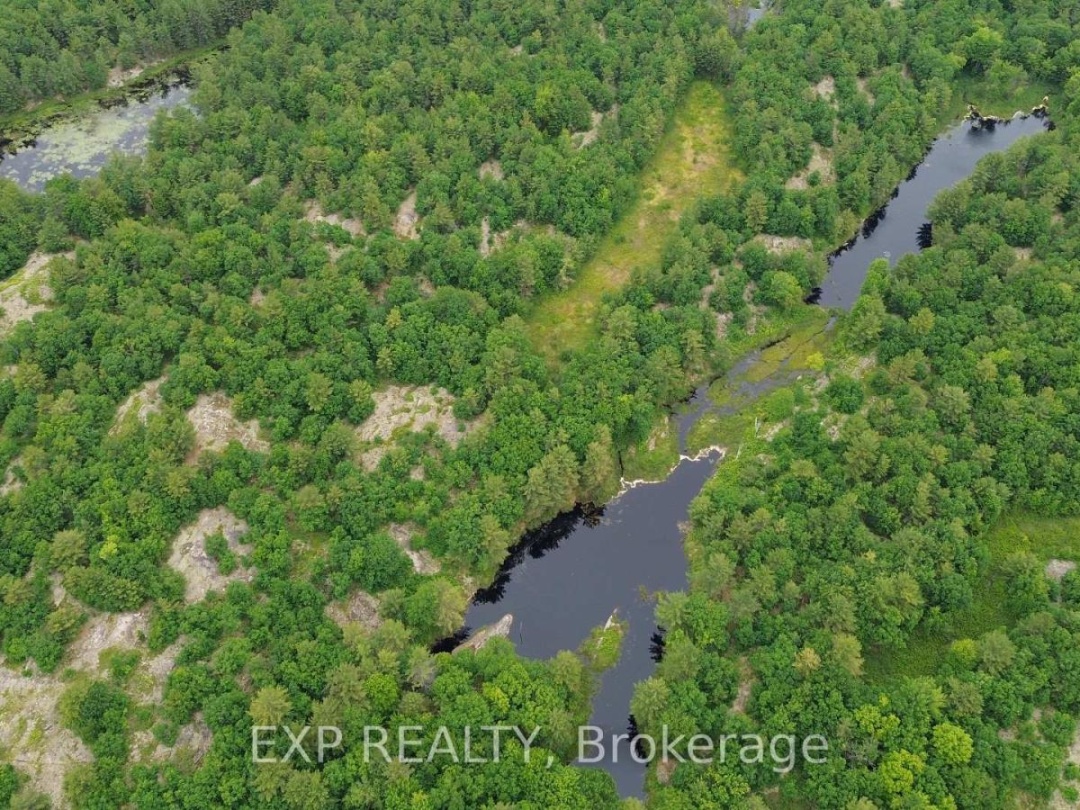 3950 Severn River Shore, Trent Severn