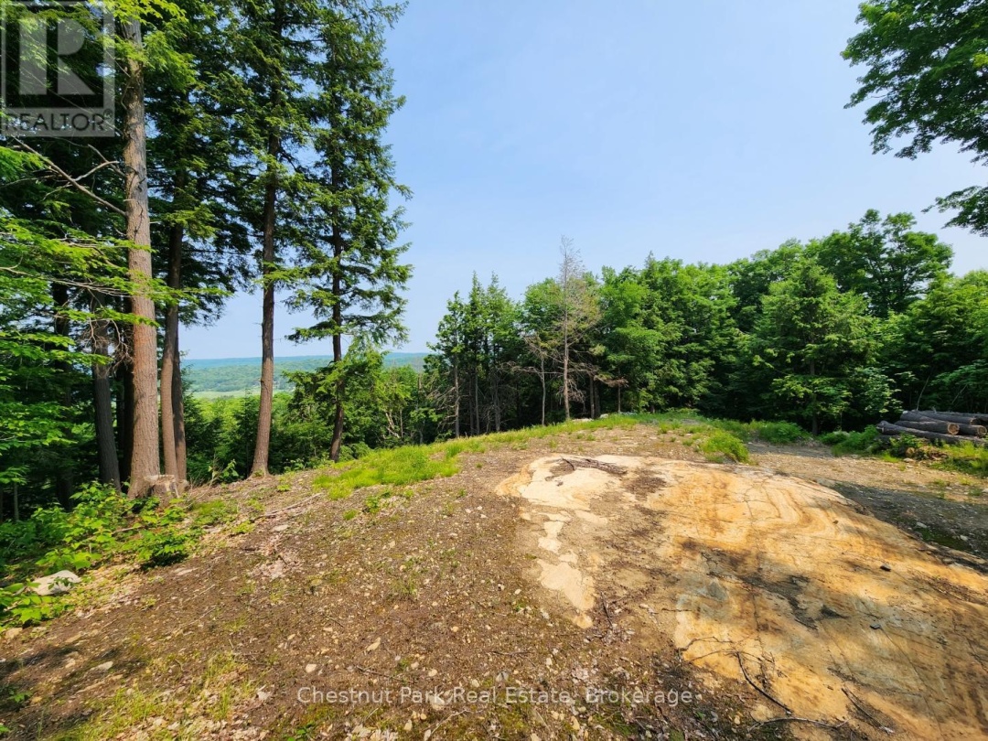 19 OLD HEMLOCK TRAIL, 