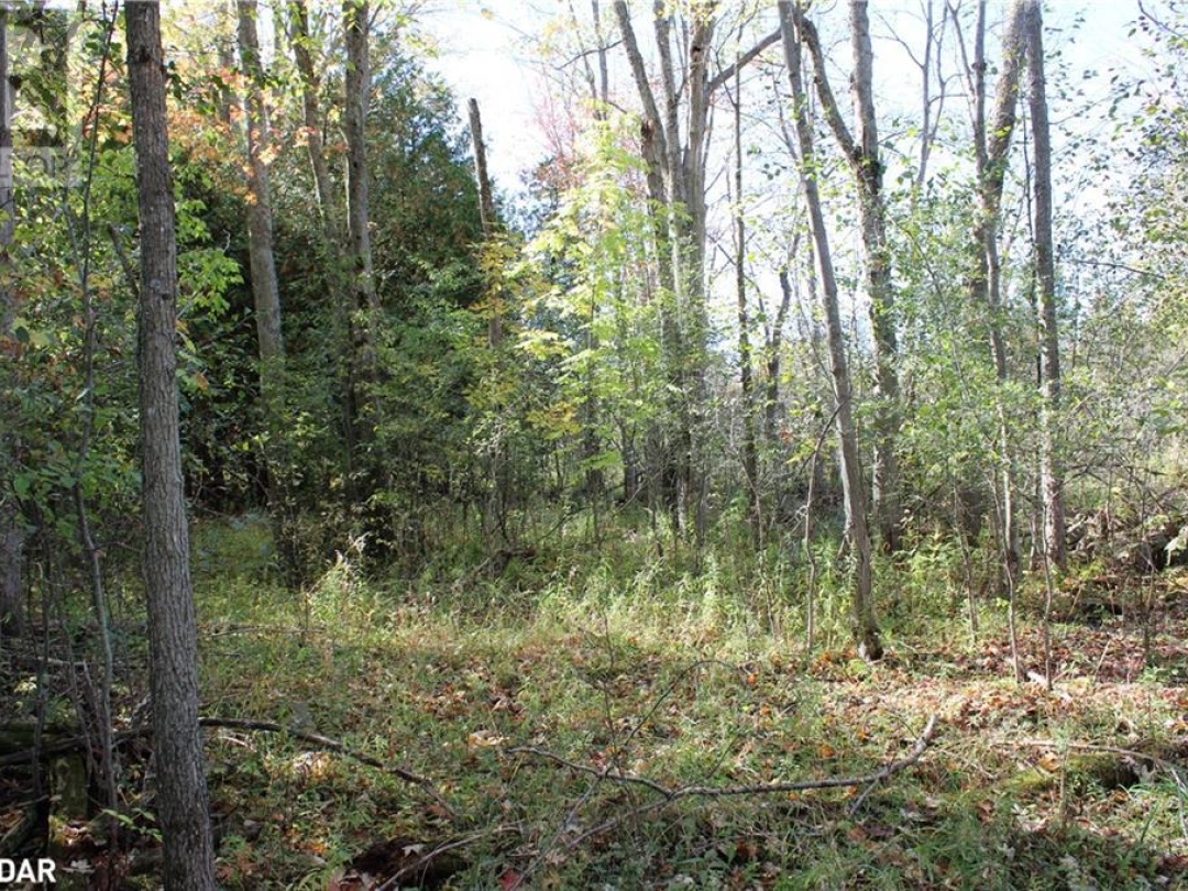 388 Woodland Drive, Oro-Medonte