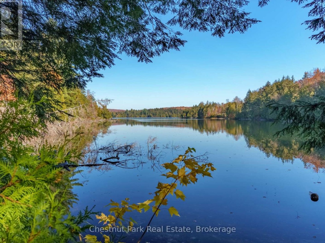 1031 Carl Fisher Drive, Bella Lake