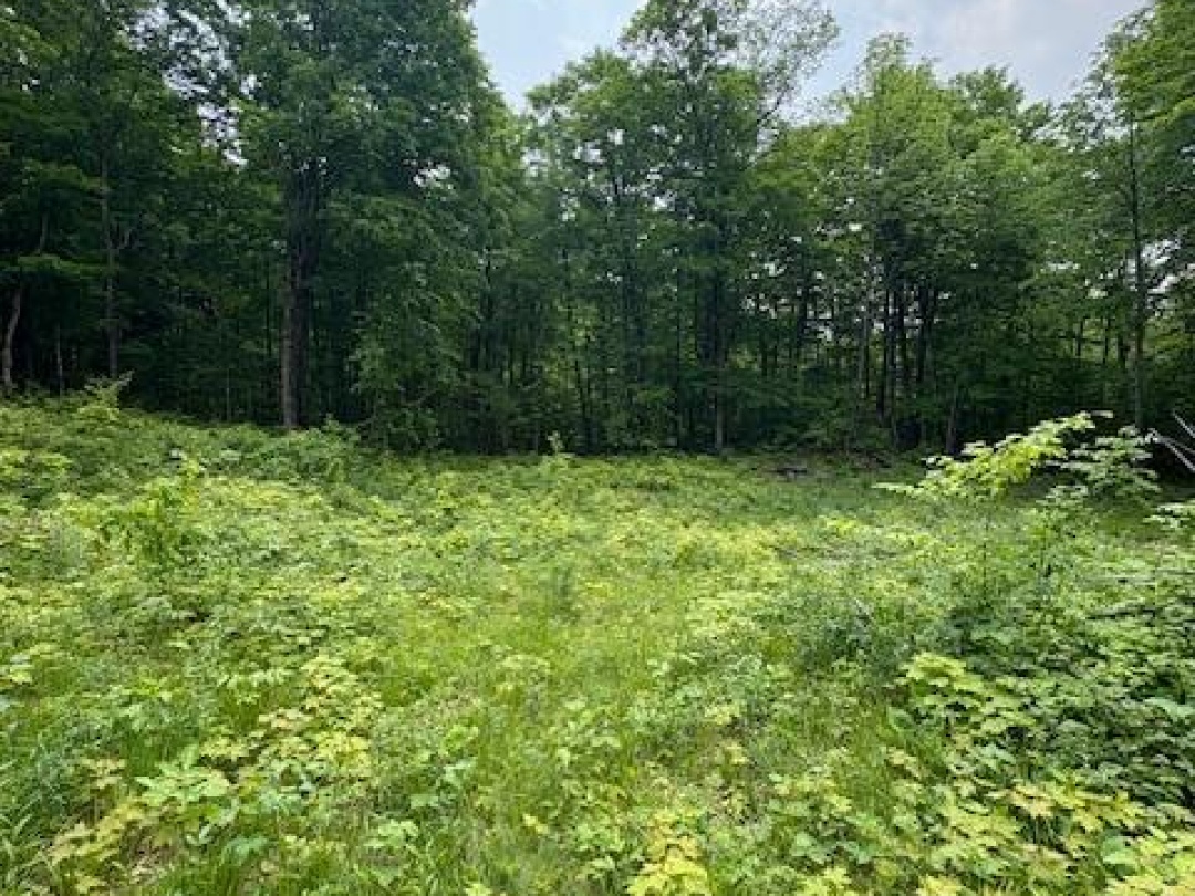 0 Loucks Road, Seguin