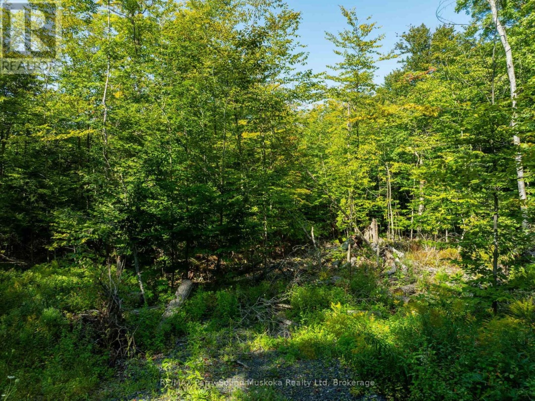 18 BURNSIDE BRIDGE ROAD, 