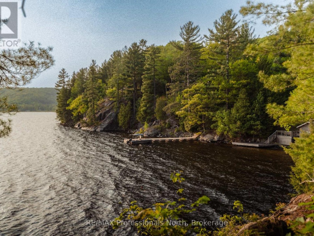 11405 DRAG LAKE EAST SHORE, 