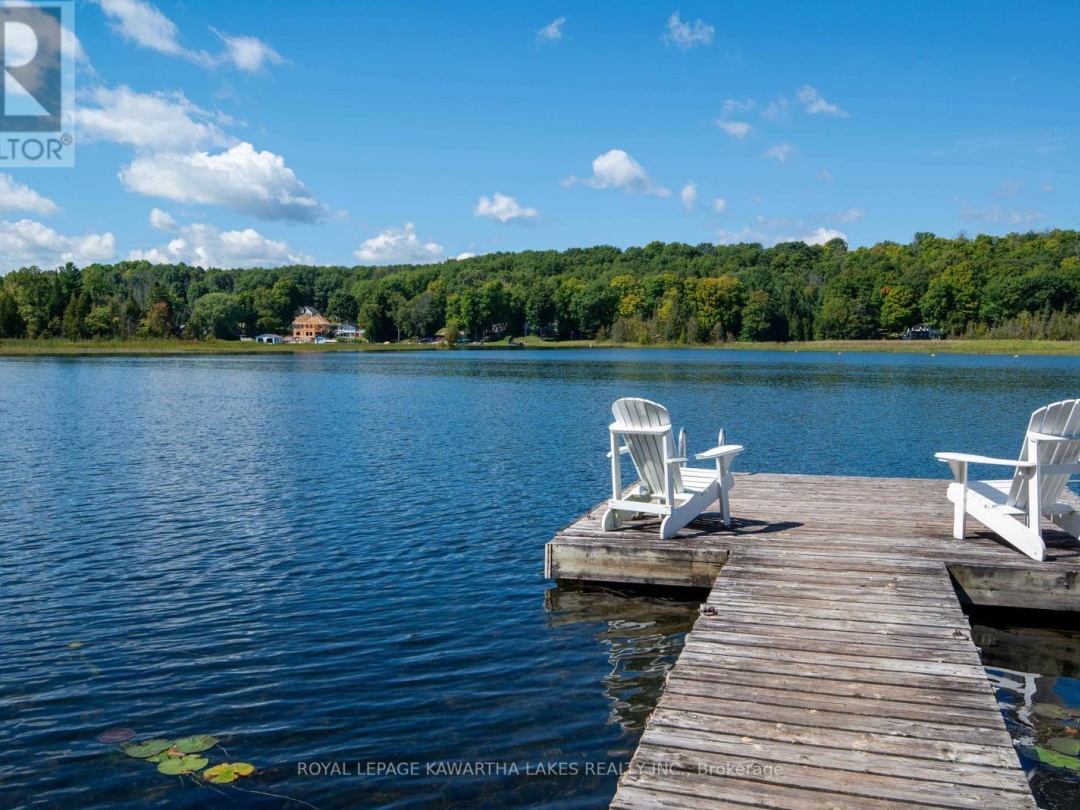 34 Deweys Island, Cameron Lake