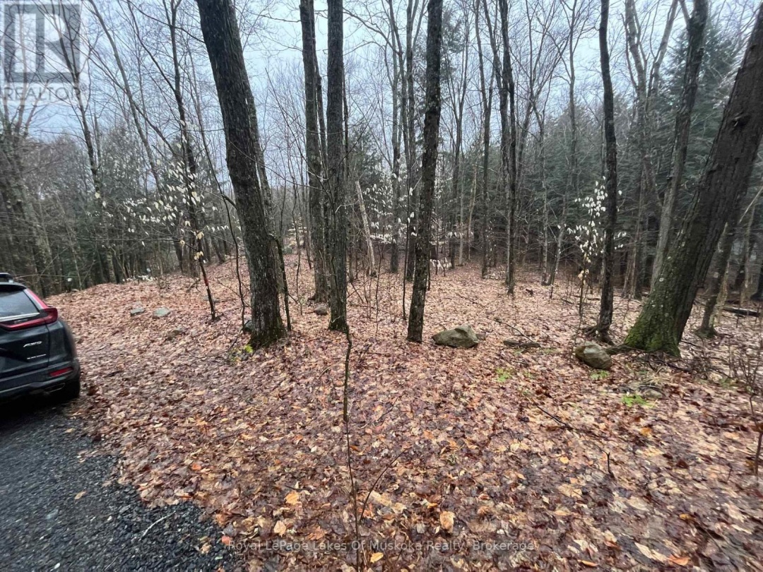 Lot 90 Lookout Point Road, Lake Vernon