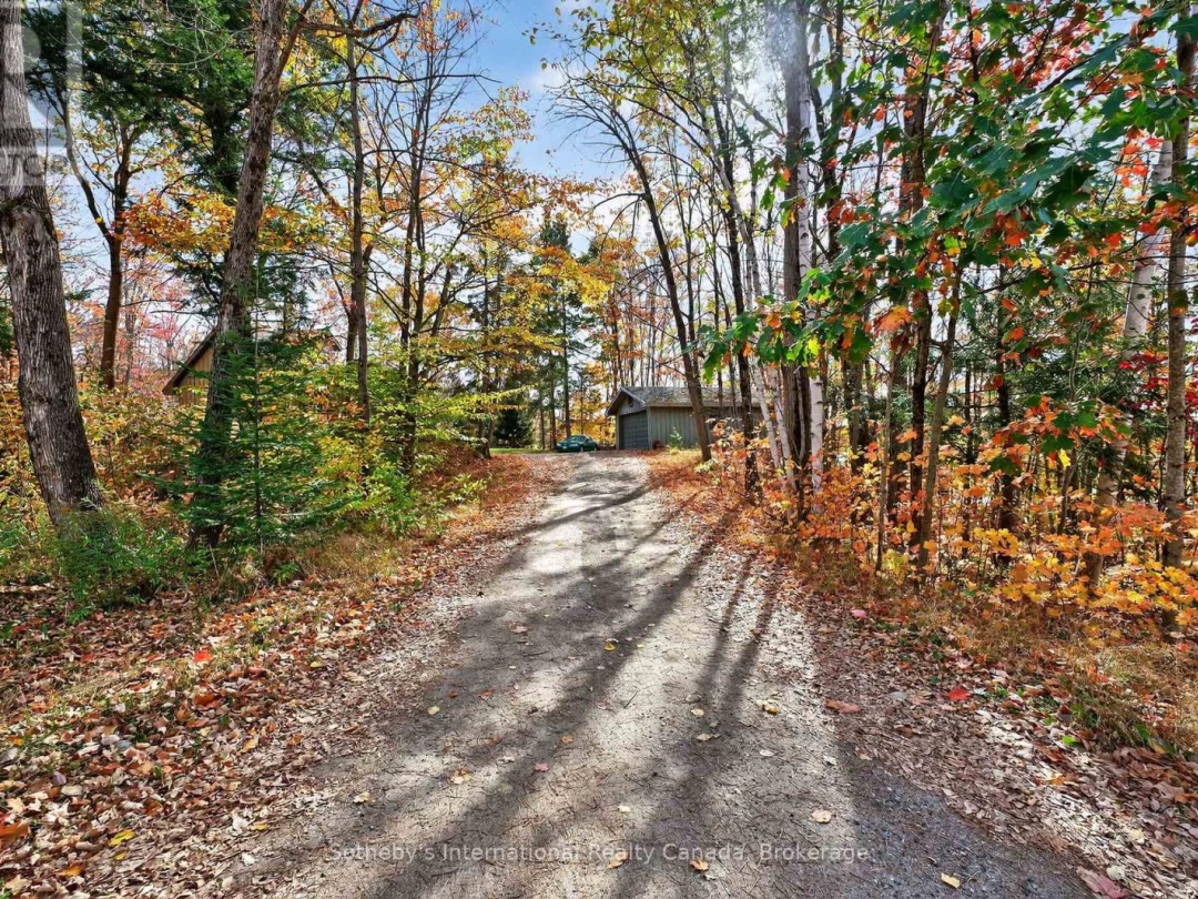 1132 LIMBERLOST ROAD, 