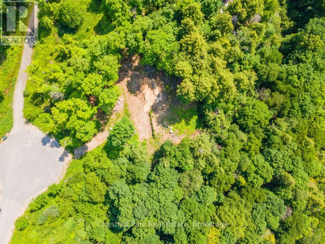 19 OLD HEMLOCK TRAIL, 