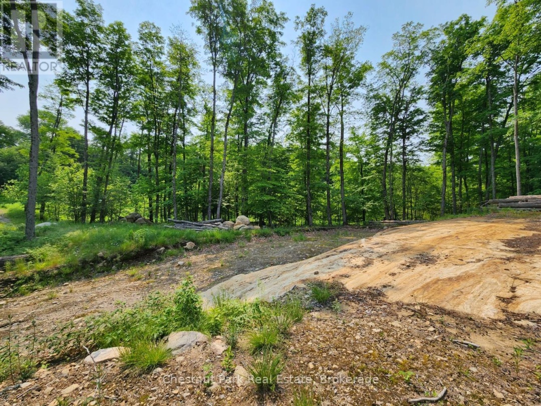 19 OLD HEMLOCK TRAIL, 