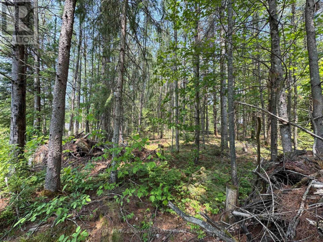 LOT 8 WATSON DRIVE, 