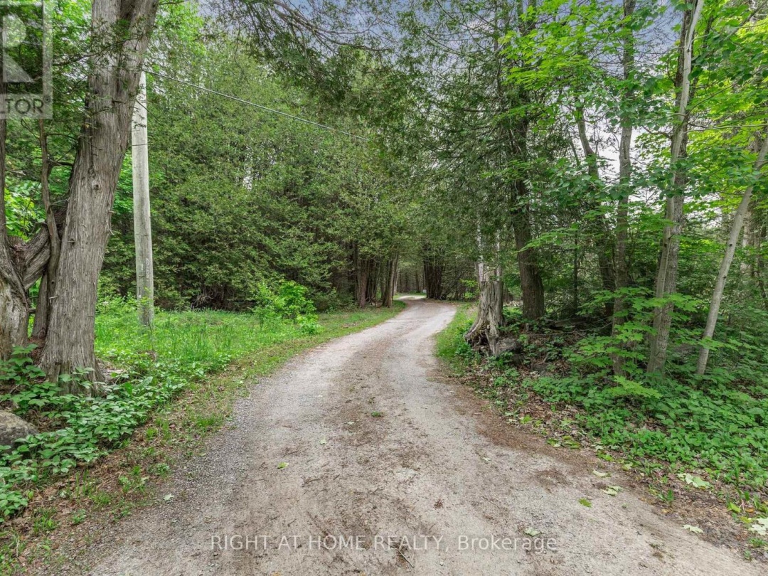 371 DIGBY LAXTON BOUNDARY ROAD, 