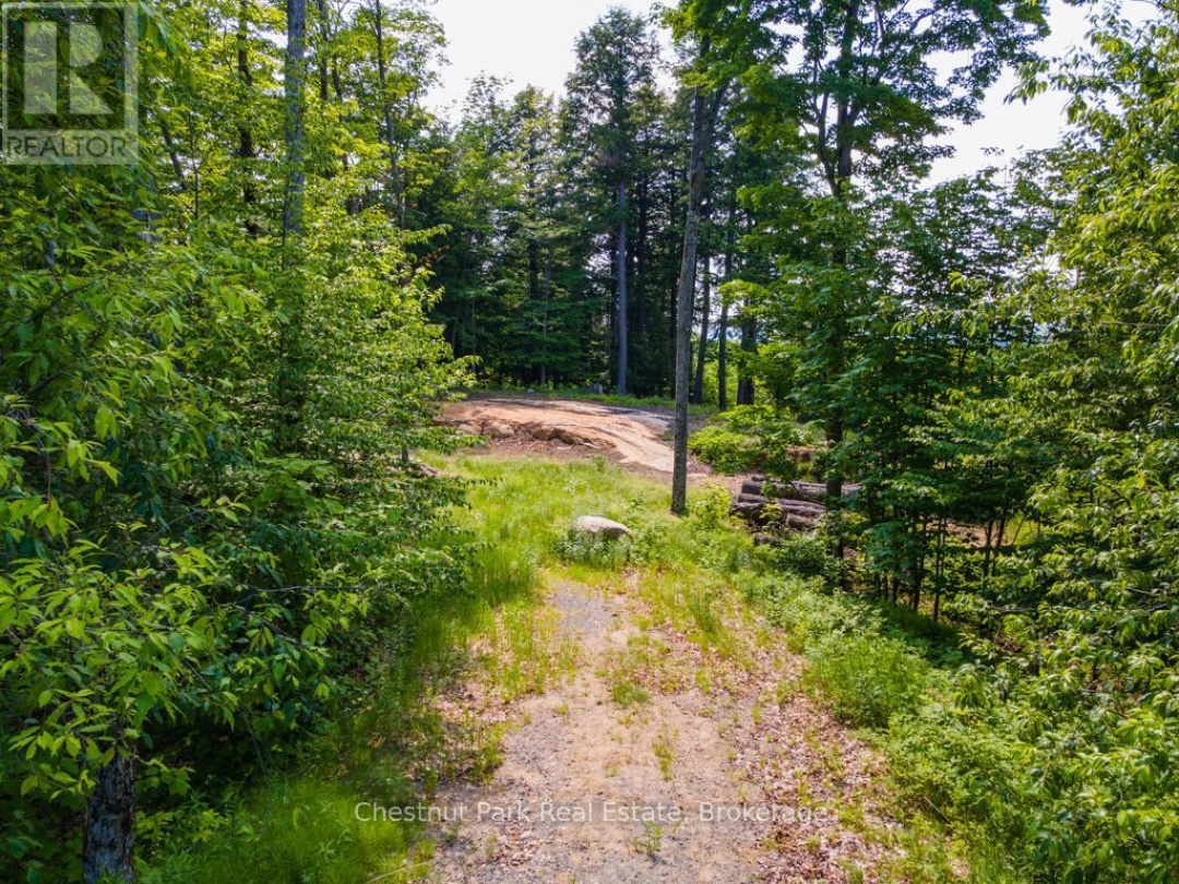 19 OLD HEMLOCK TRAIL, 