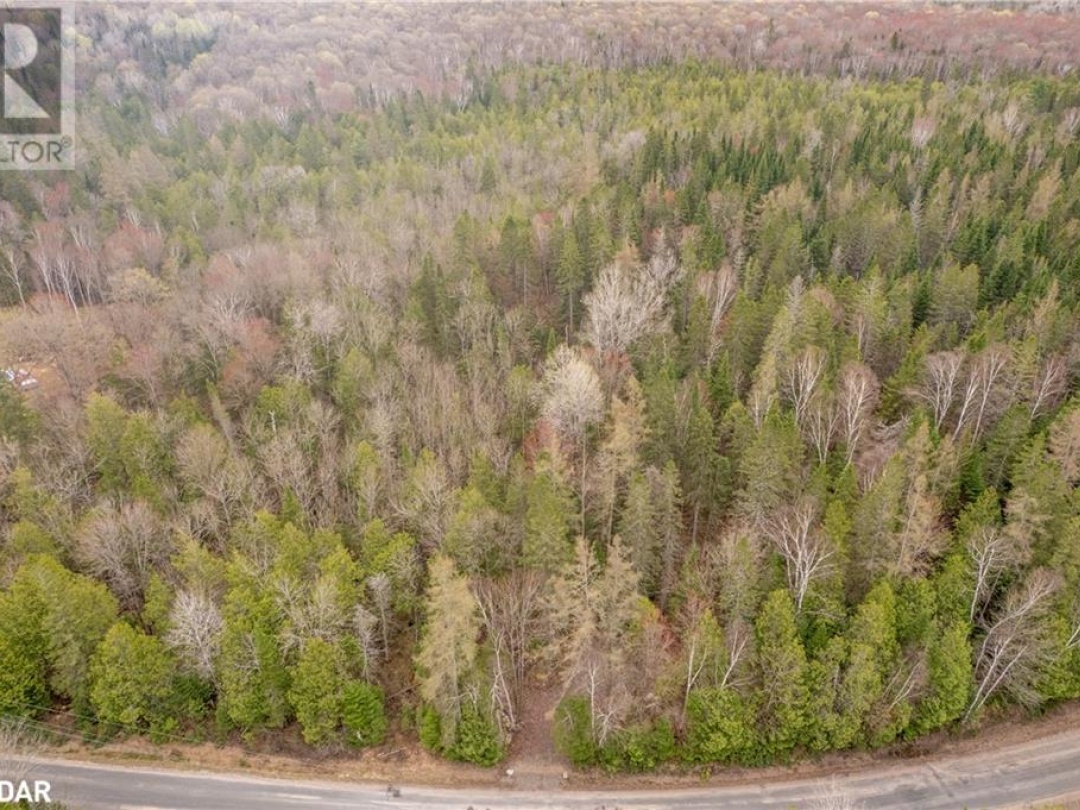 1272 URSA Road, Haliburton