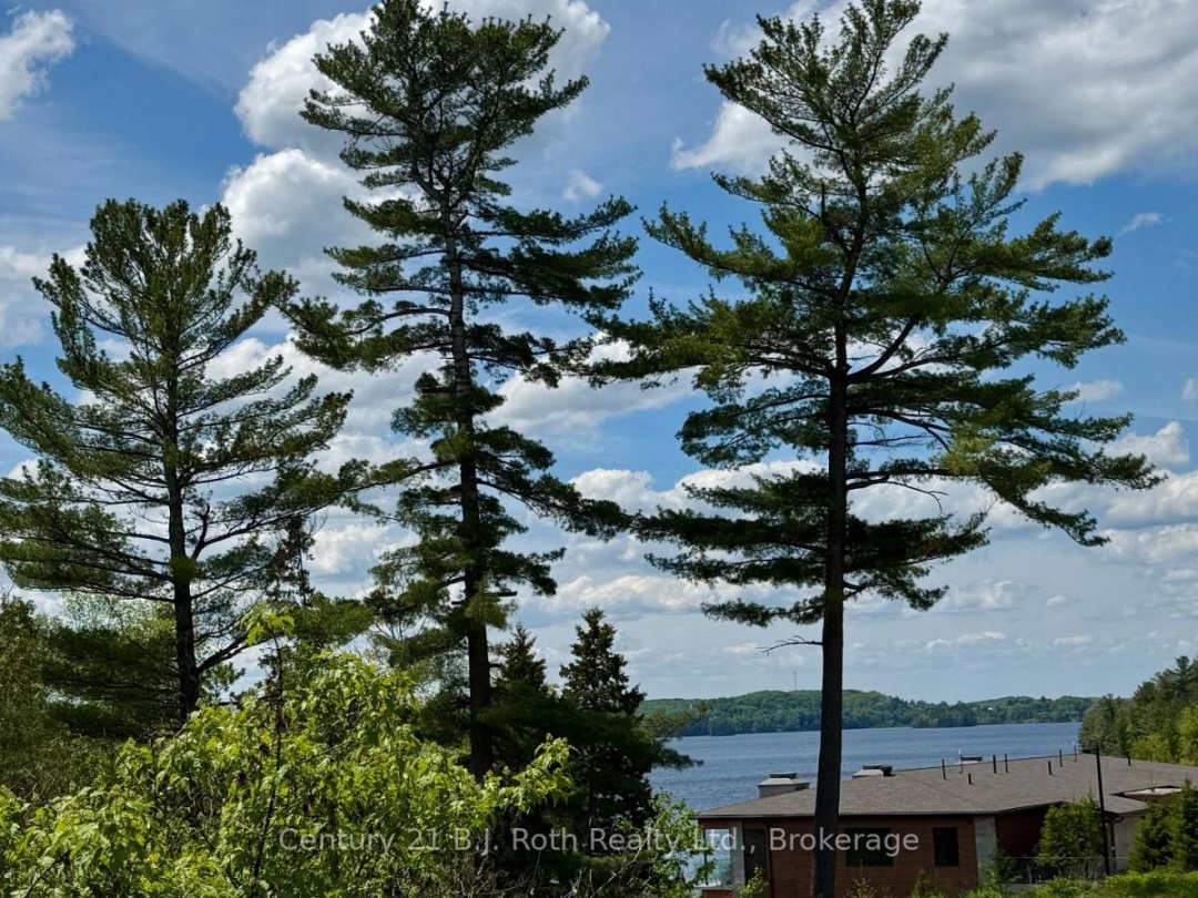 5531 Signature Grandview Court, Fairy Lake