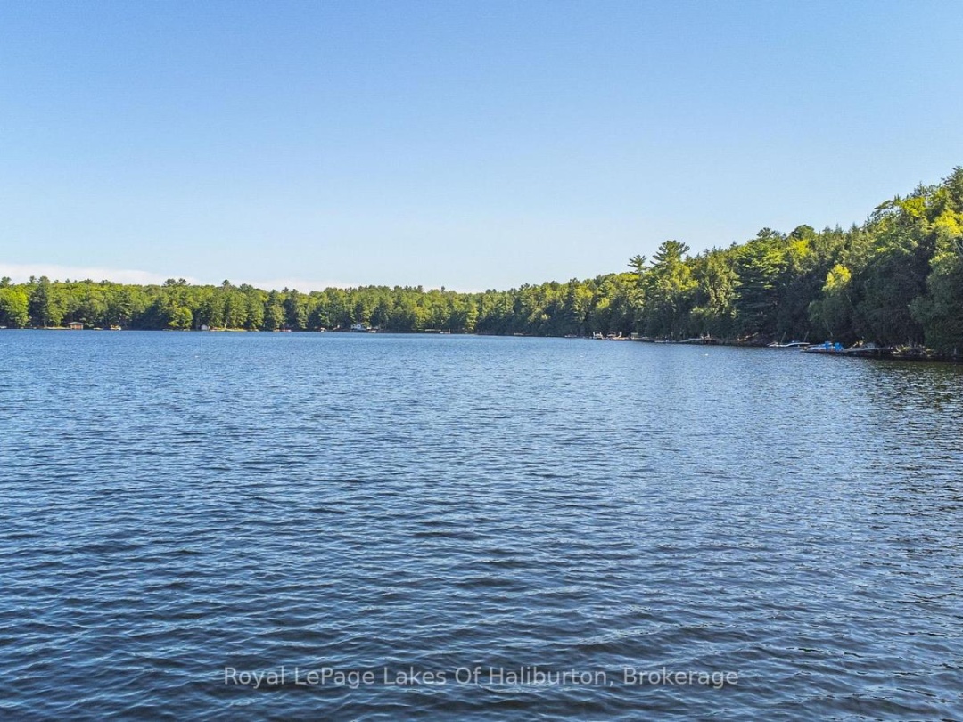 1358 Kushog Lake Road, Kushog Lake