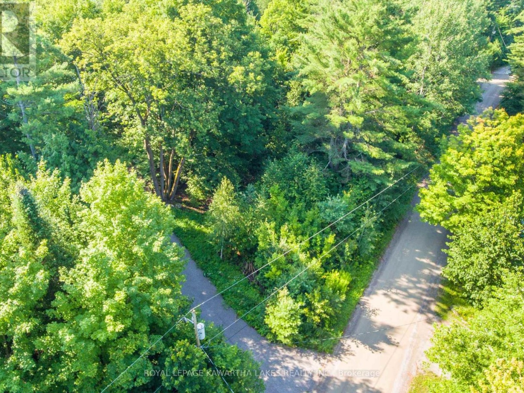 LT 33 BENSON BOULEVARD, 