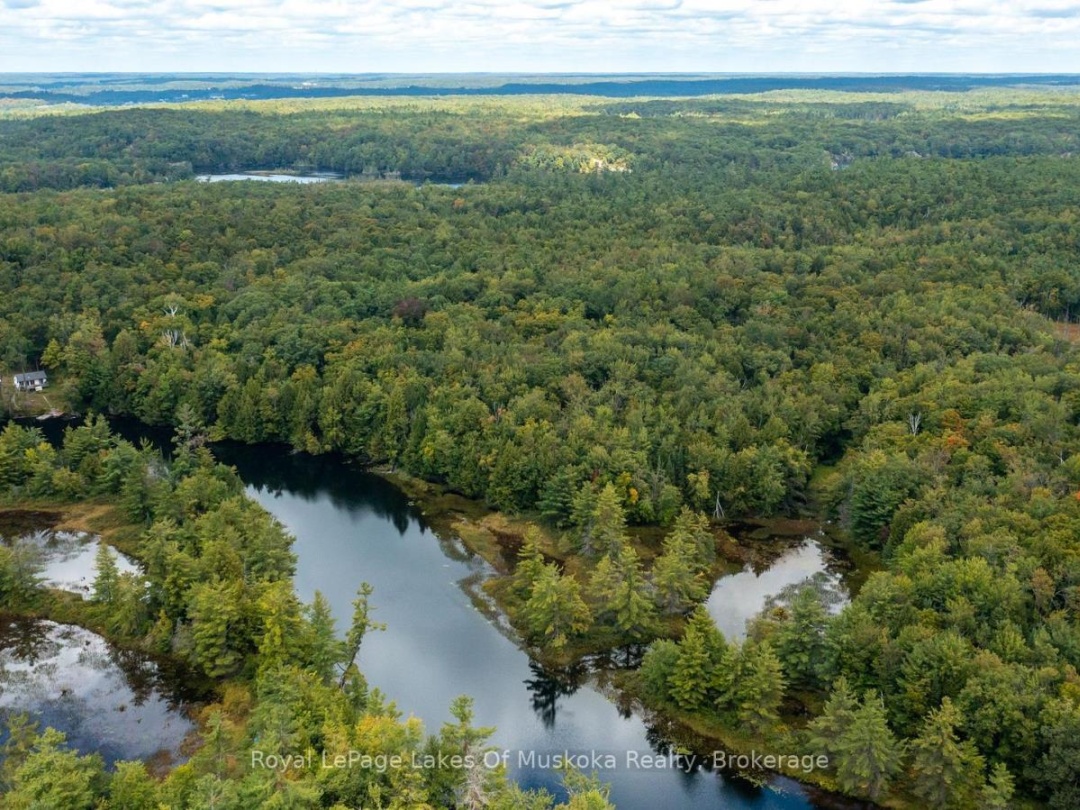 0 MUSKOKA RIVER, 