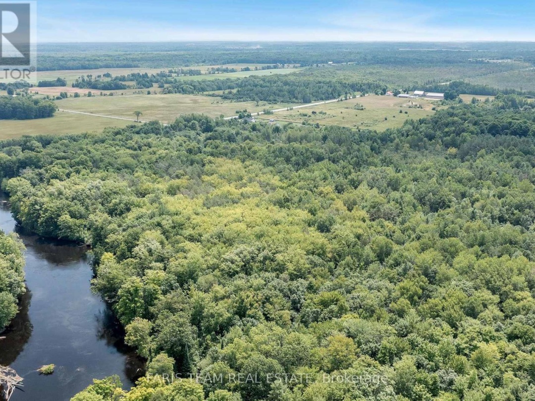 6928 COUNTY ROAD 169, Black Lake