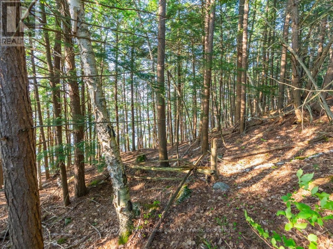 Lot#2 1250 Waldmere Road, Lake Muskoka