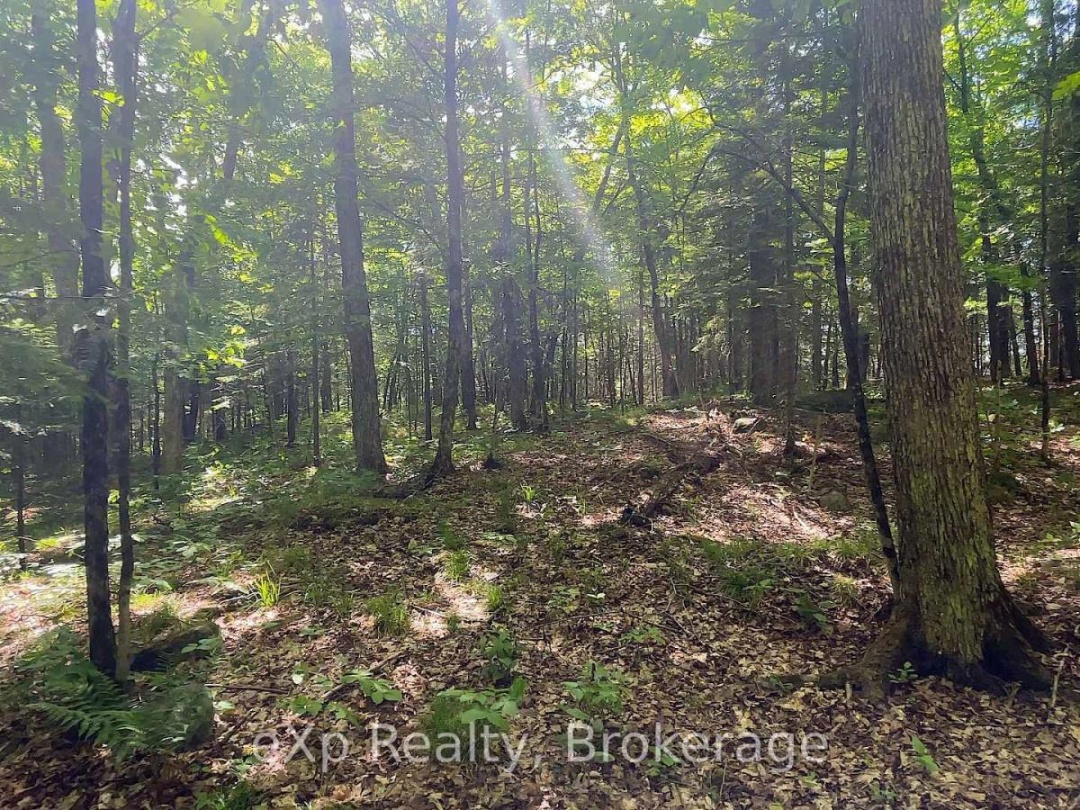 Lot # 4 Gonnsen Trail, Drag Lake