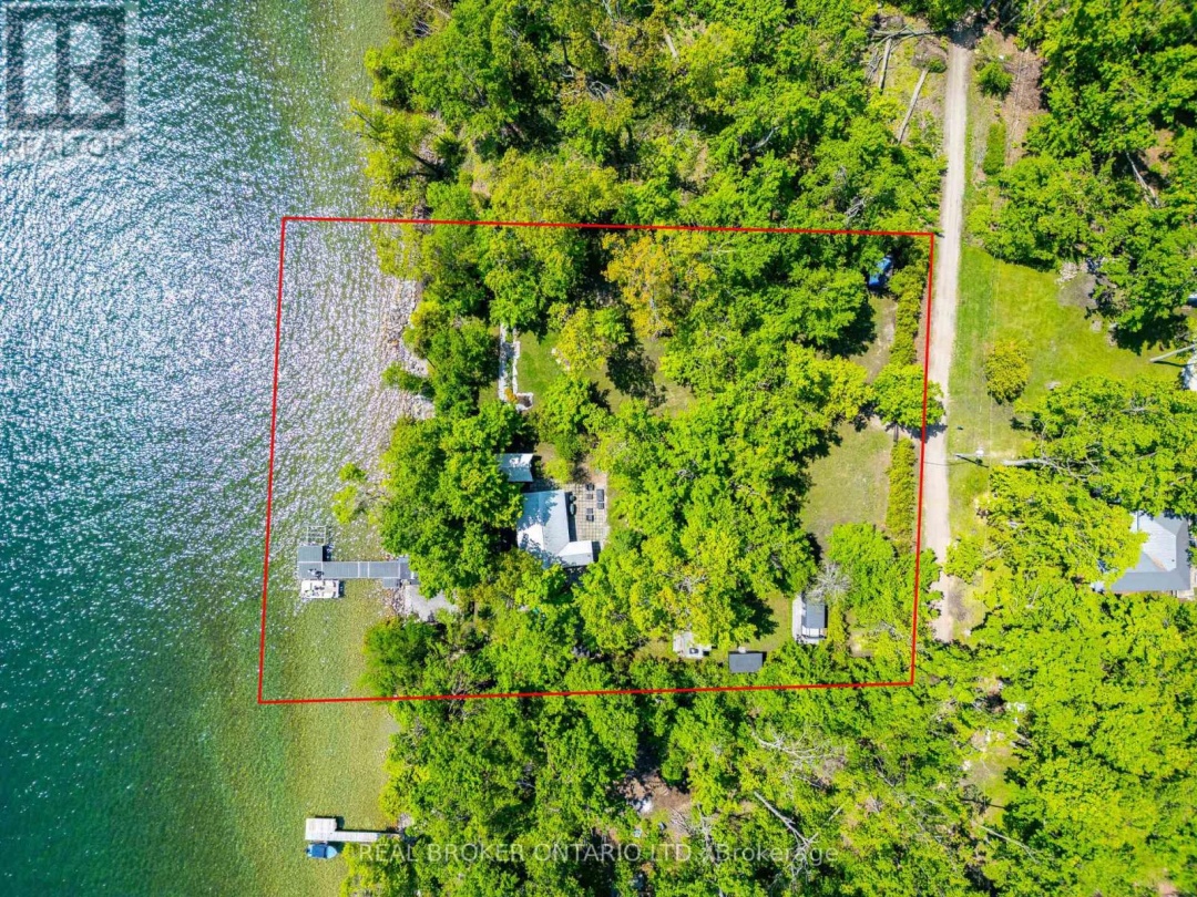 45 IVY LANE, 