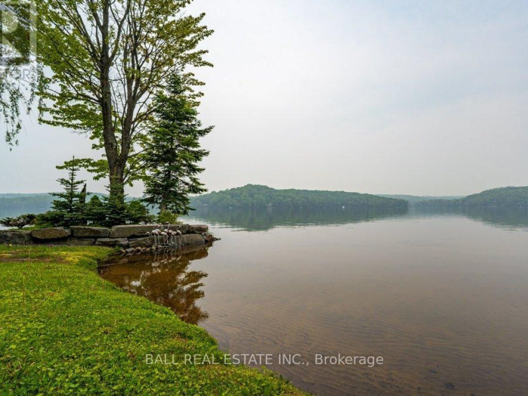 1856 Blueberry Trail, Drag Lake