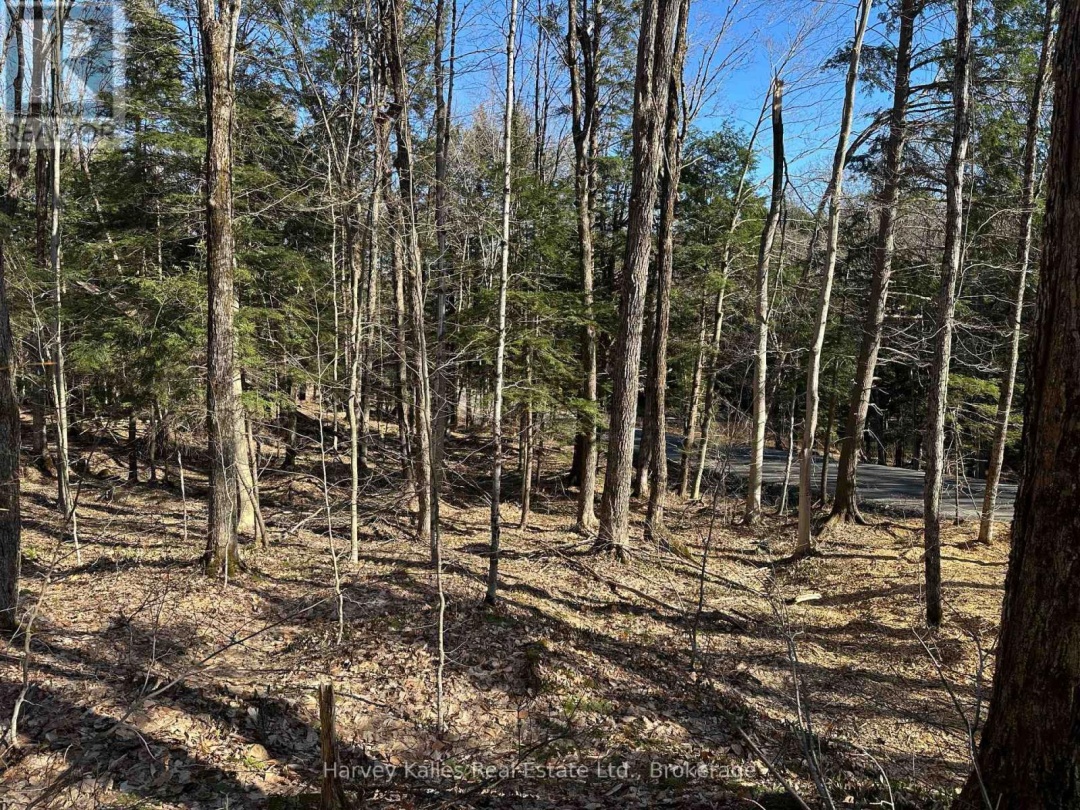 CON 1 PT LOT 12 BARLOCHAN ROAD, 