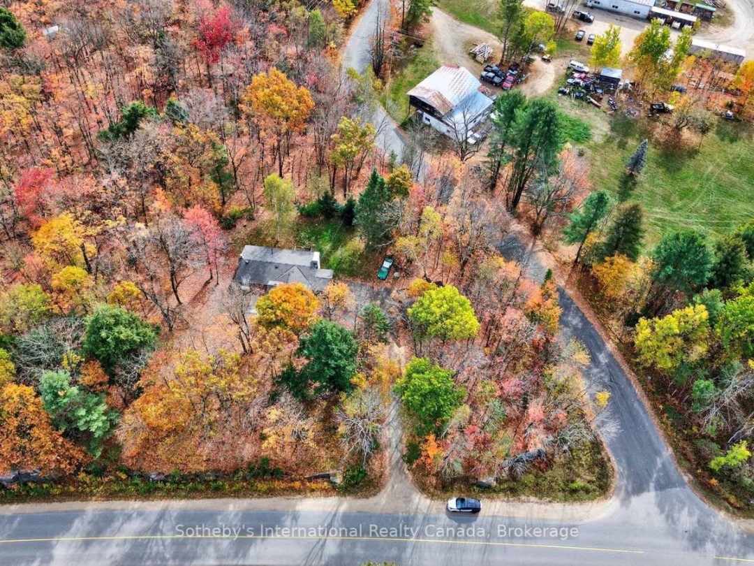 1132 LIMBERLOST ROAD, 