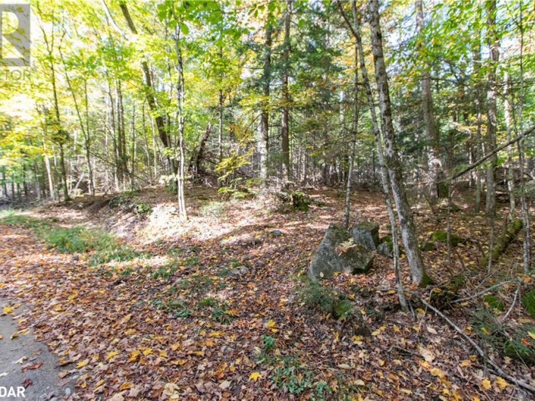 0 Lynx Lake Road, Huntsville