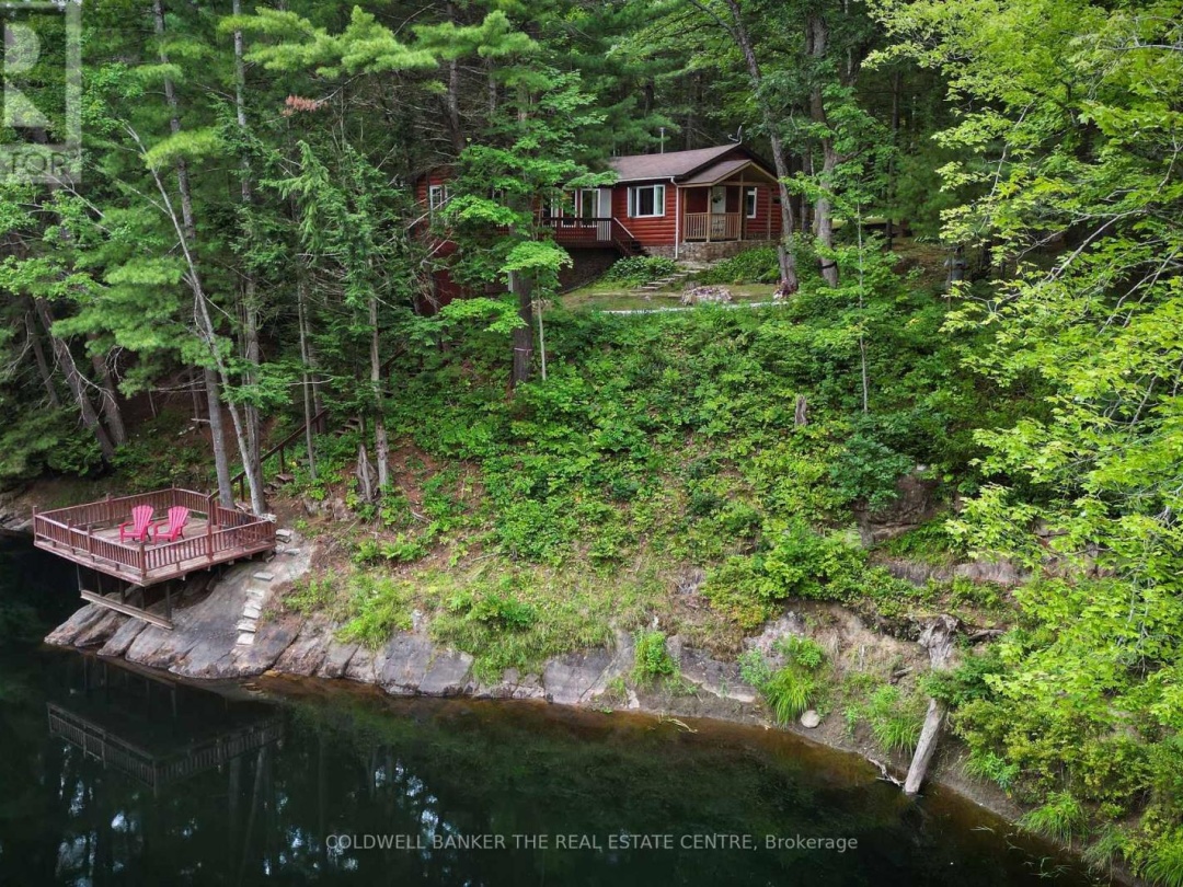 54 BLACK RIVER ROAD, 